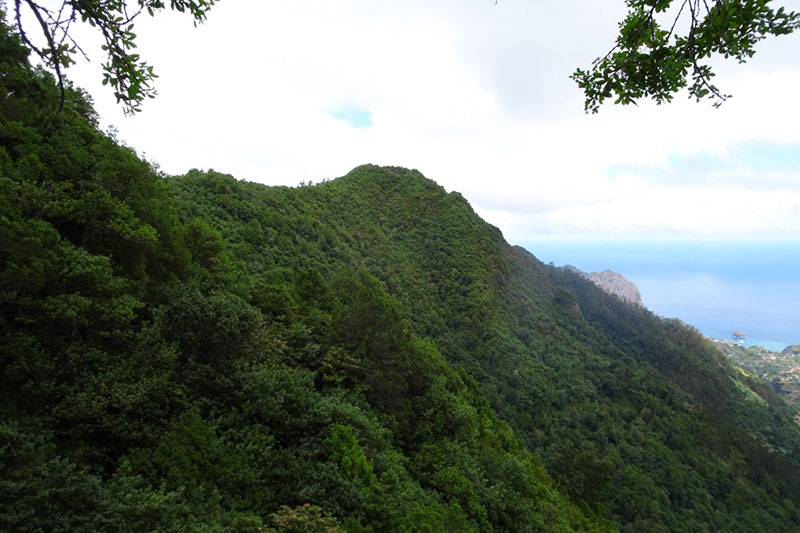 %_tempFileNameDSC00766%