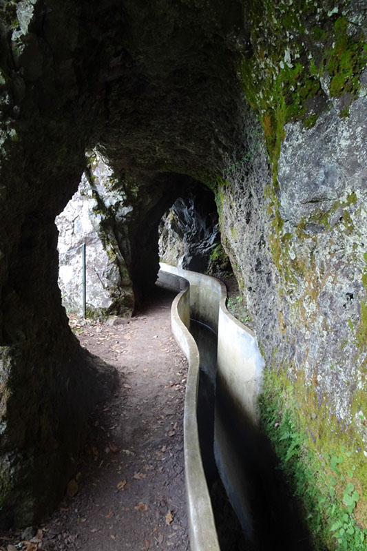 %_tempFileNameDSC00769%