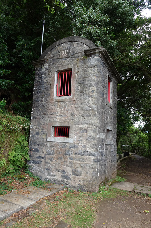 %_tempFileNameDSC00771%