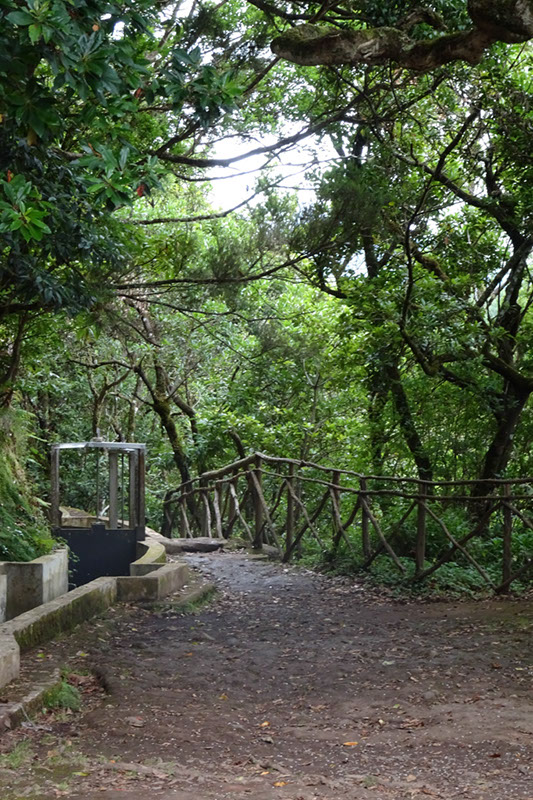 %_tempFileNameDSC00772%