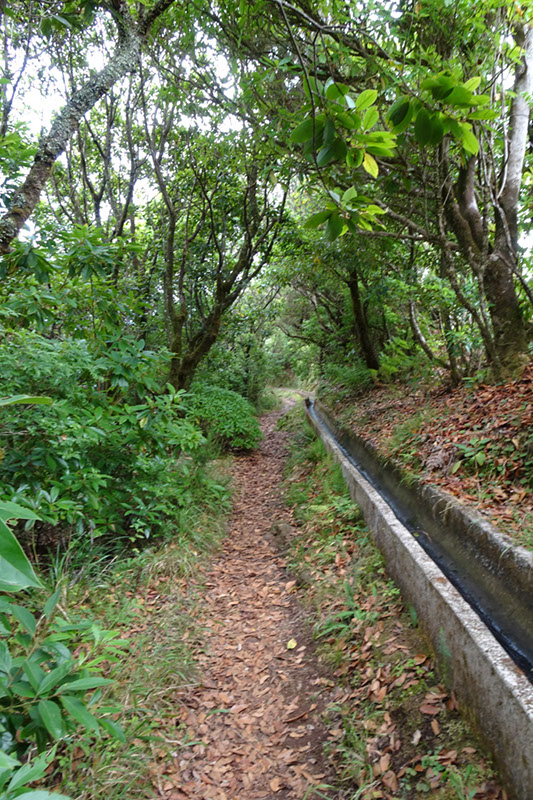 %_tempFileNameDSC00784%