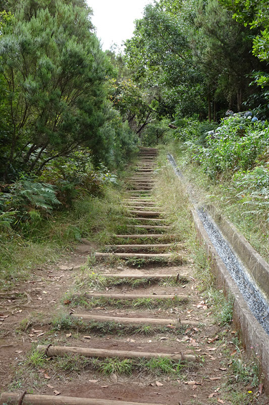 %_tempFileNameDSC00790%