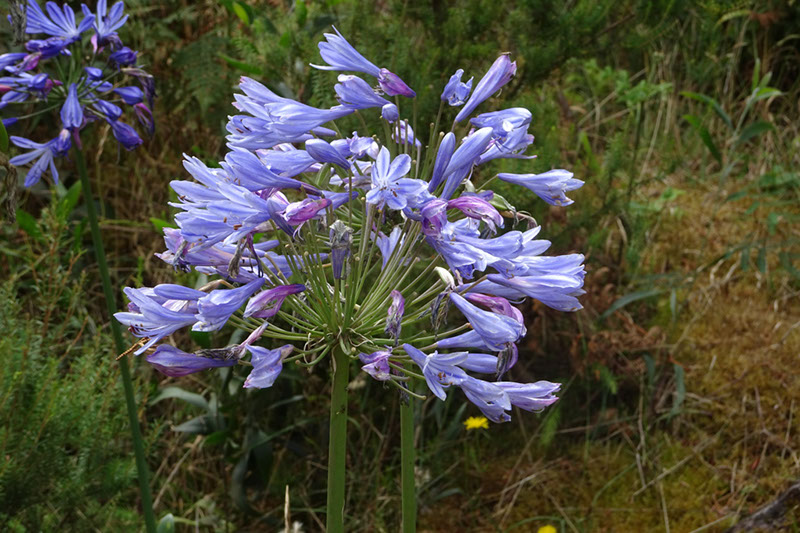 %_tempFileNameDSC00791%