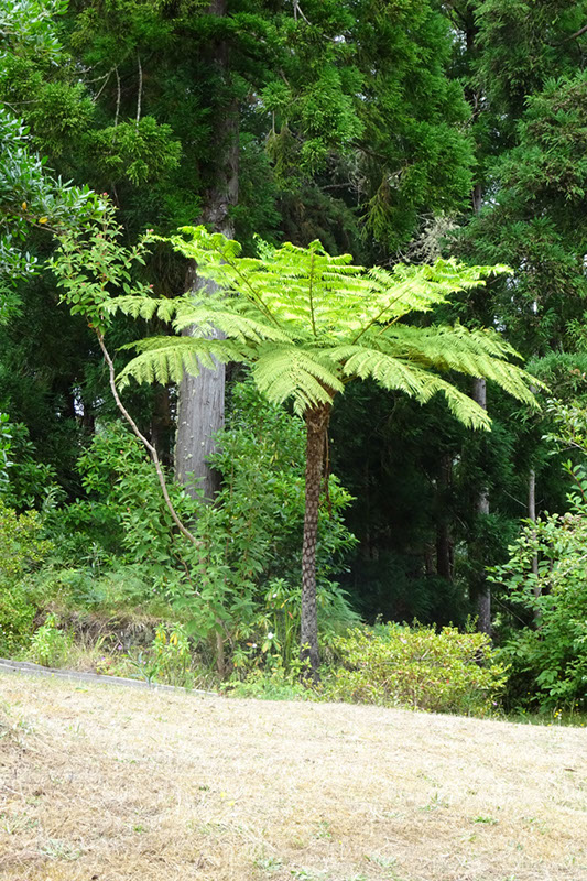 %_tempFileNameDSC00794%