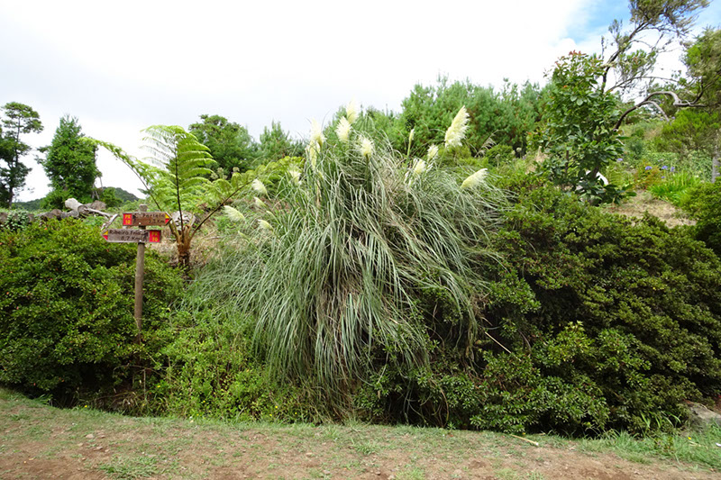 %_tempFileNameDSC00800%