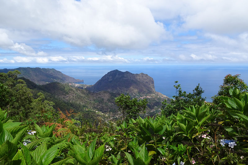 %_tempFileNameDSC00803%