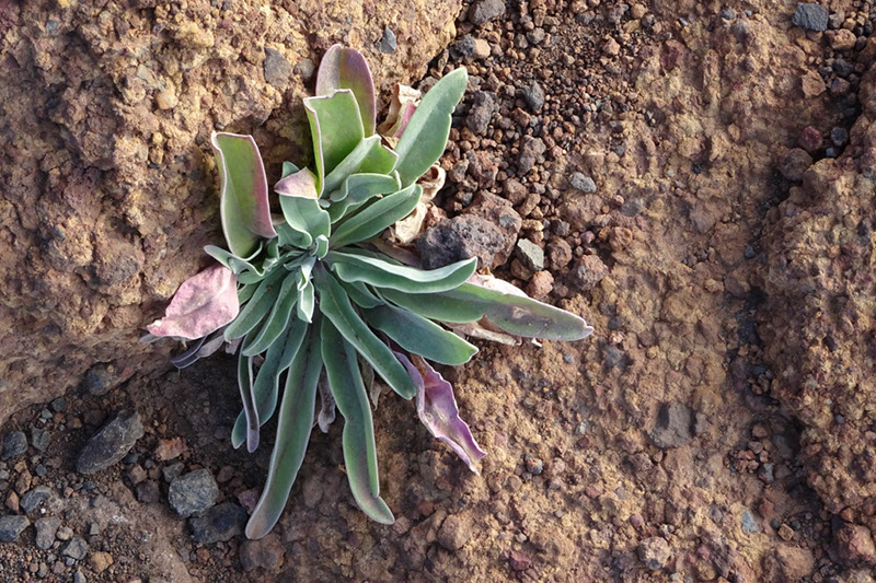 %_tempFileNameDSC00856%