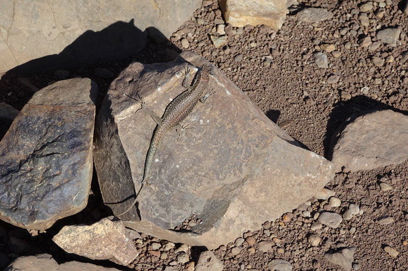 %_tempFileNameDSC00887%