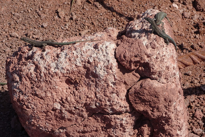 %_tempFileNameDSC00914%