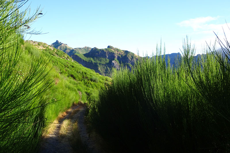 %_tempFileNameDSC00927%