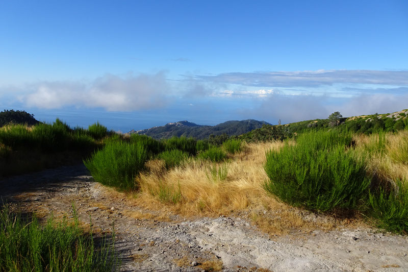 %_tempFileNameDSC00932%