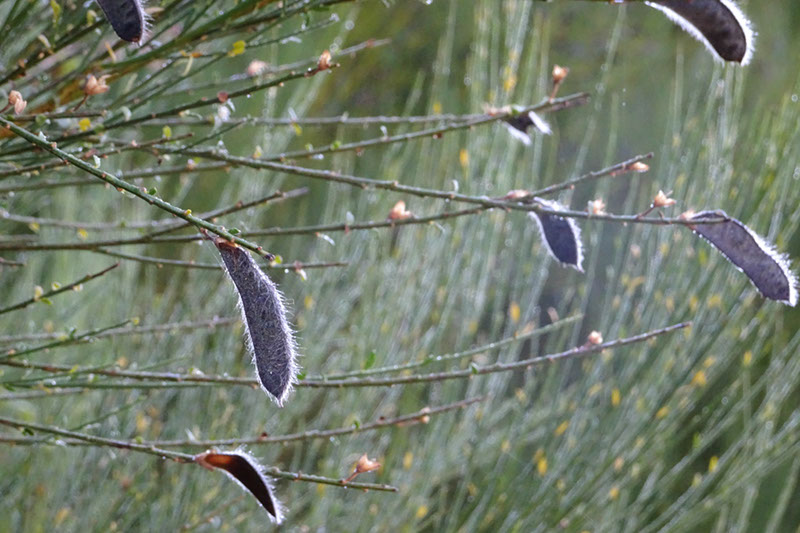 %_tempFileNameDSC00933%