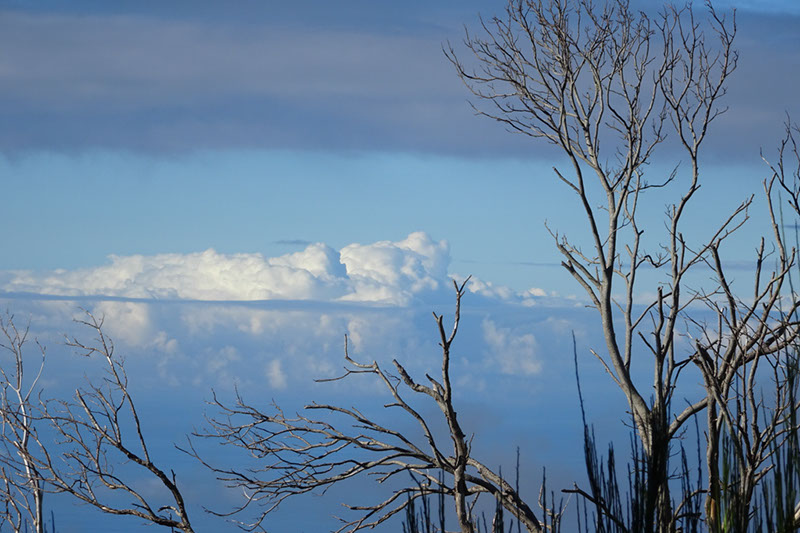 %_tempFileNameDSC00939%