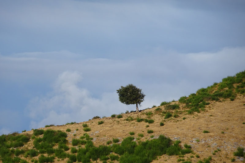 %_tempFileNameDSC00945%