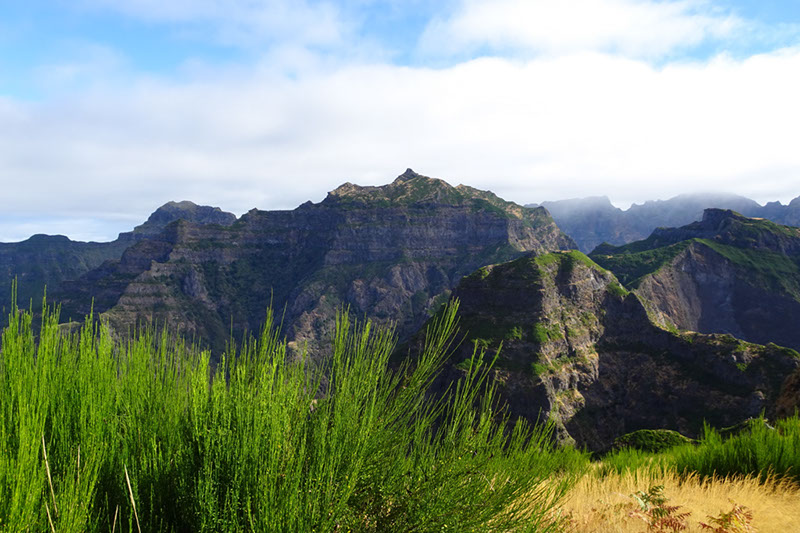 %_tempFileNameDSC00950%