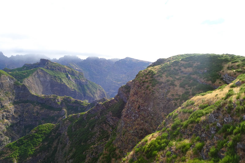 %_tempFileNameDSC00956%