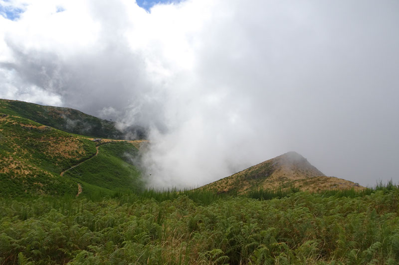 %_tempFileNameDSC00967%