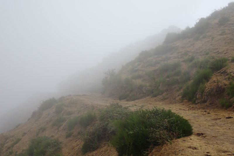 %_tempFileNameDSC00973%