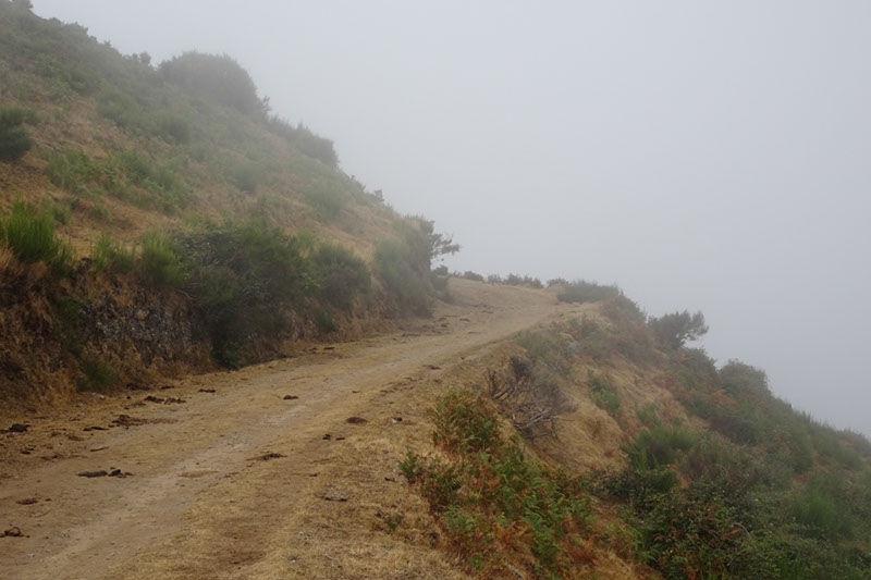 %_tempFileNameDSC00974%