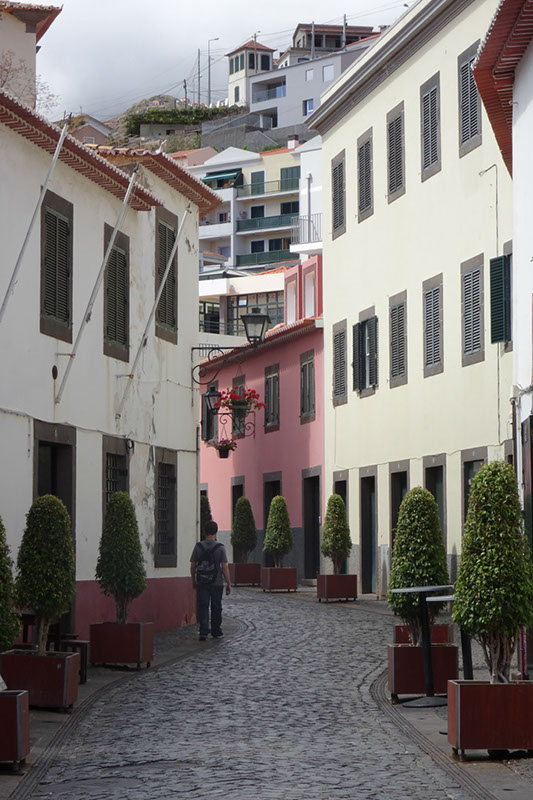 %_tempFileNameDSC00998%