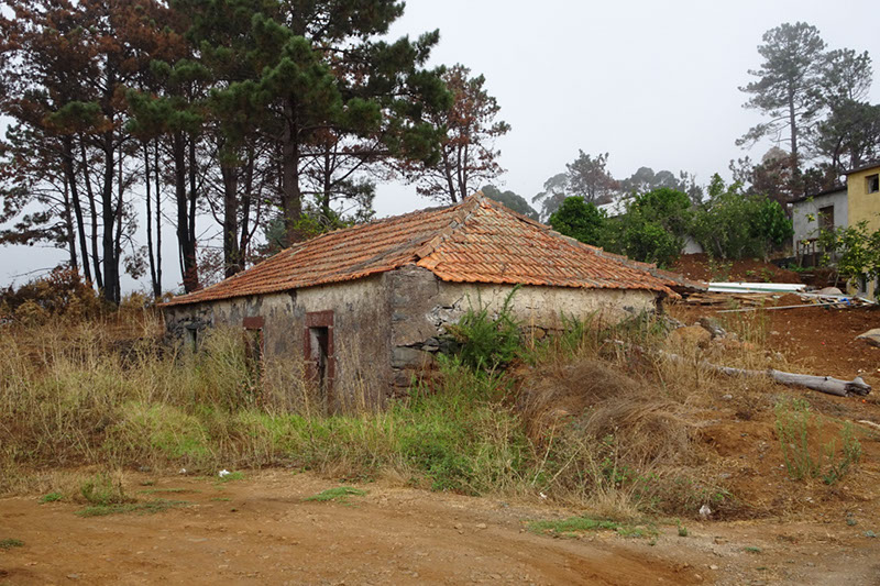 %_tempFileNameDSC01032%