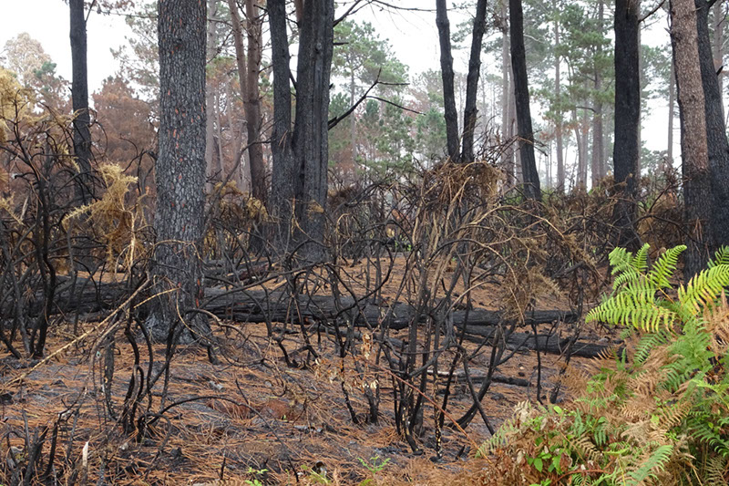 %_tempFileNameDSC01038%