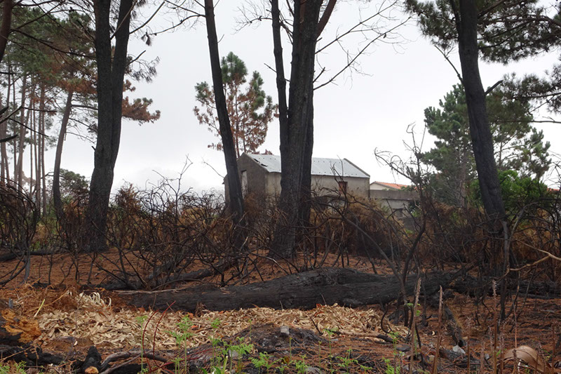 %_tempFileNameDSC01039%