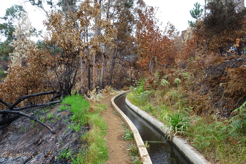 %_tempFileNameDSC01049%