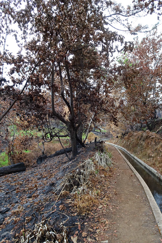 %_tempFileNameDSC01052%