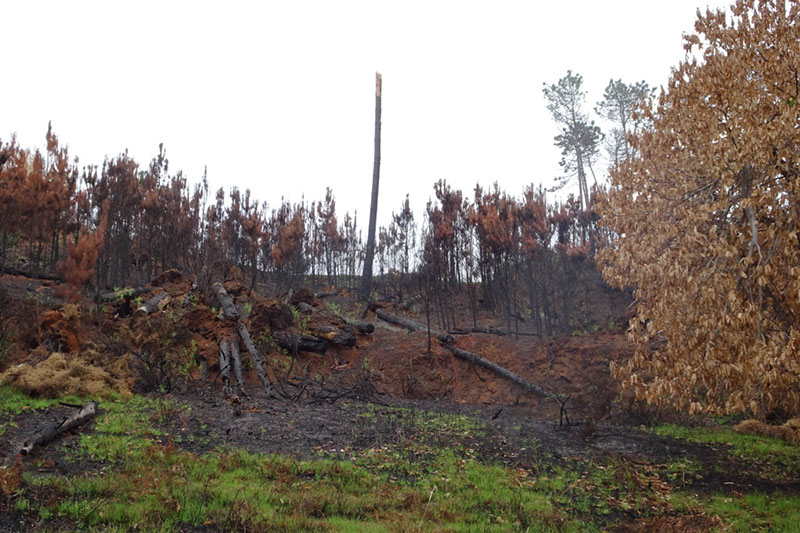 %_tempFileNameDSC01054%