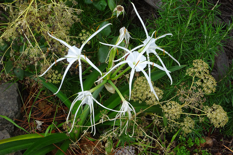 %_tempFileNameDSC01060%