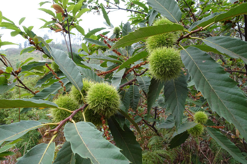 %_tempFileNameDSC01069%