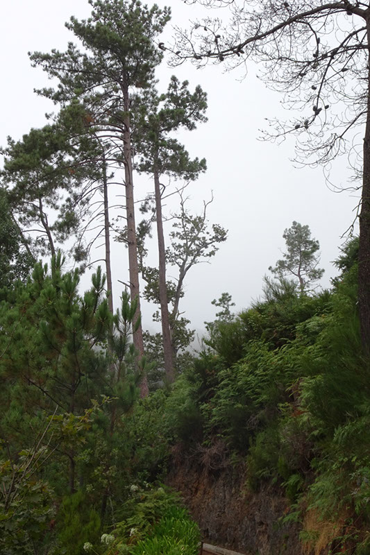 %_tempFileNameDSC01071%