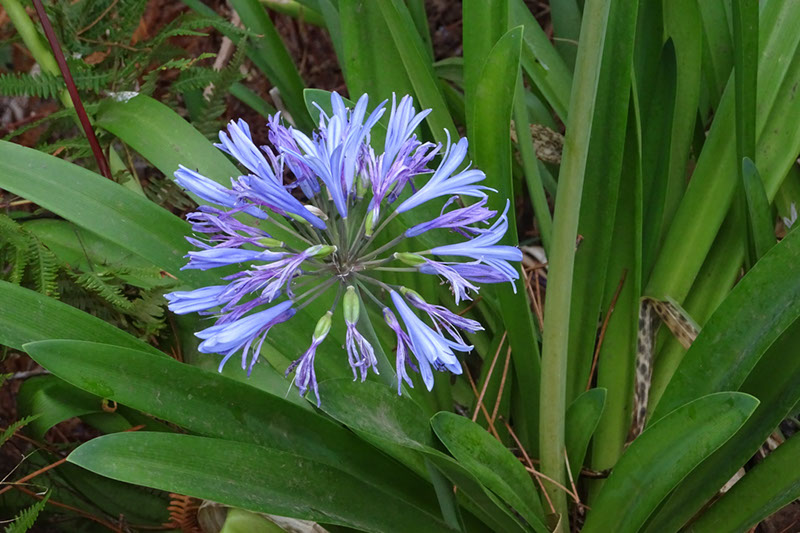 %_tempFileNameDSC01072%