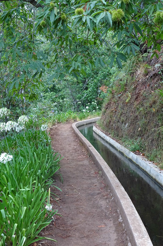 %_tempFileNameDSC01075%