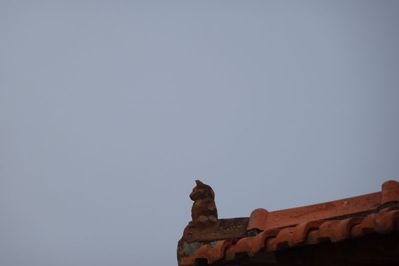 %_tempFileNameDSC01094%