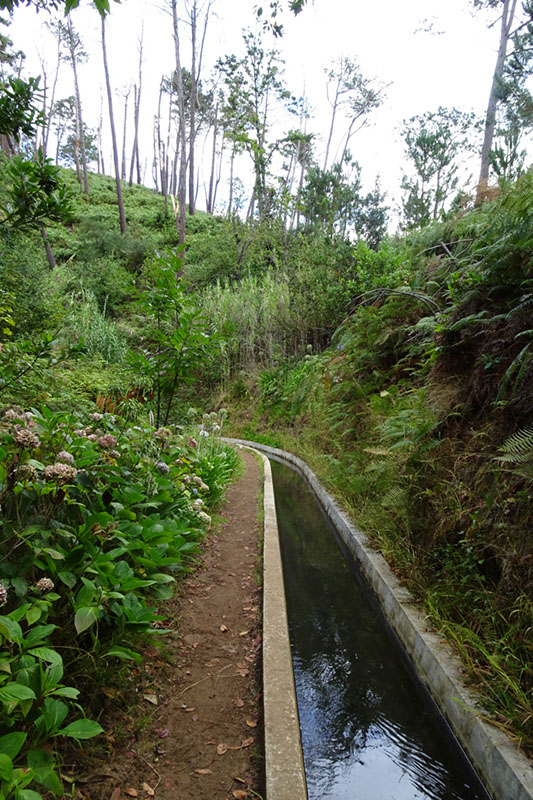 %_tempFileNameDSC01120%