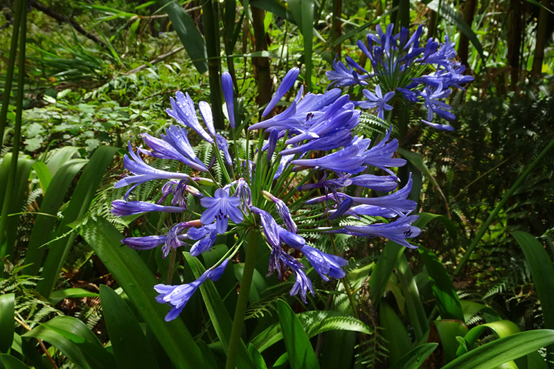 %_tempFileNameDSC01124%