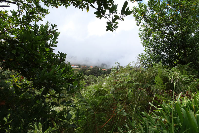 %_tempFileNameDSC01126%