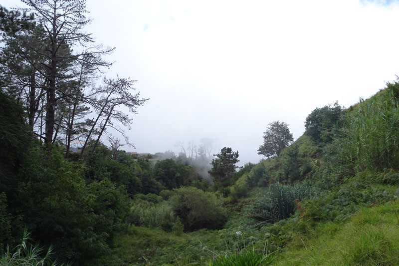 %_tempFileNameDSC01135%