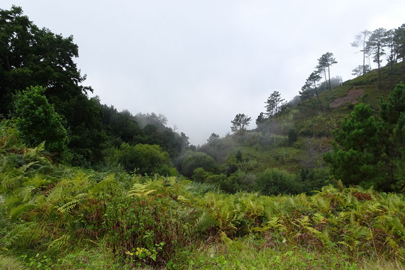 %_tempFileNameDSC01141%