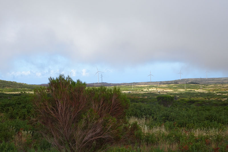 %_tempFileNameDSC01156%