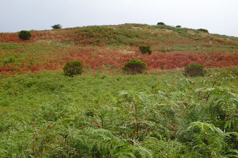 %_tempFileNameDSC01160%