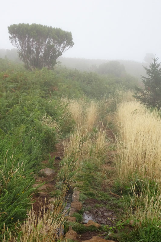 %_tempFileNameDSC01161%