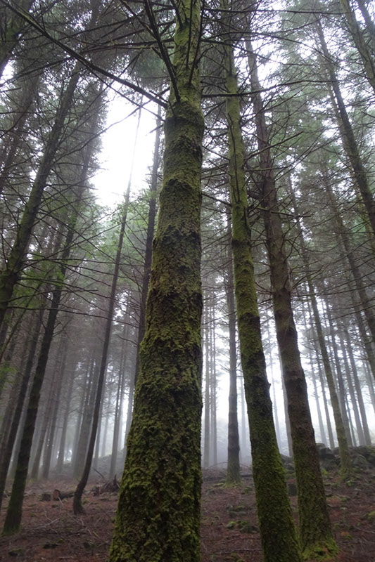 %_tempFileNameDSC01166%