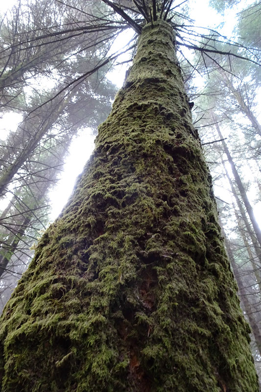 %_tempFileNameDSC01168%