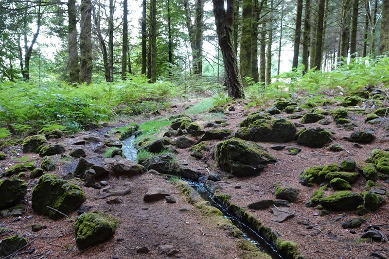 %_tempFileNameDSC01169%