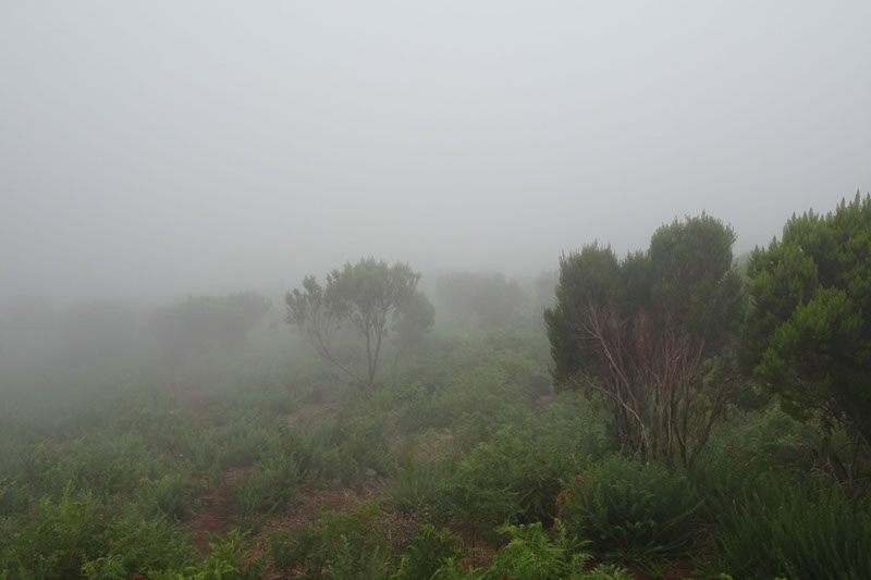 %_tempFileNameDSC01182%