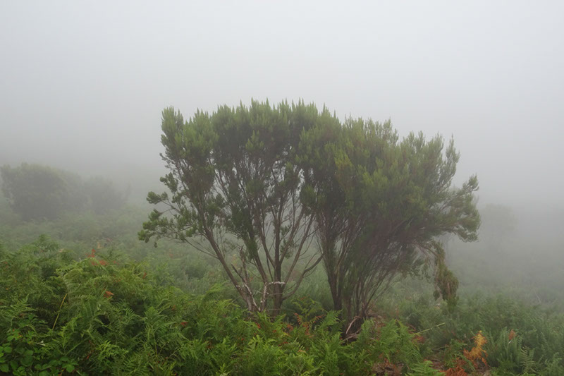 %_tempFileNameDSC01183%