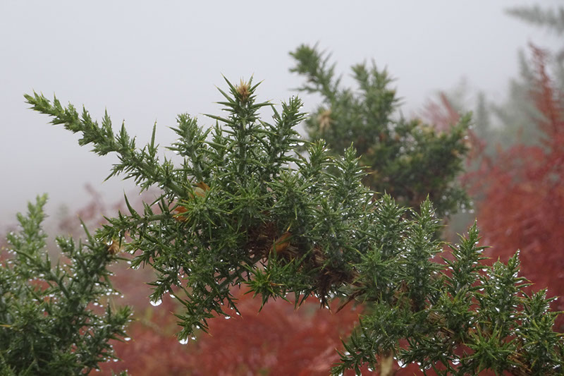 %_tempFileNameDSC01189%